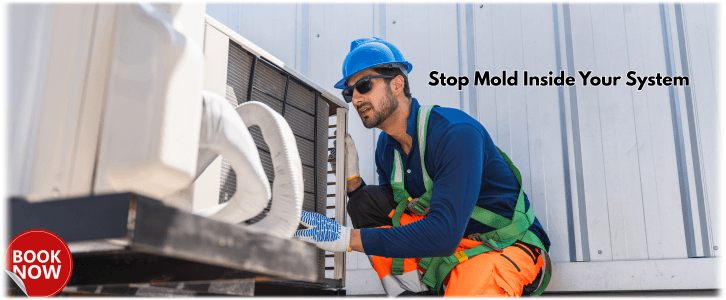 HVAC Mold Removal Kennesaw GA